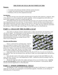 PART 1: CELLS OF THE ELODEA LEAF PART 2: ONION