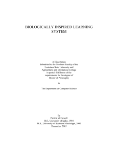 biologically inspired learning system