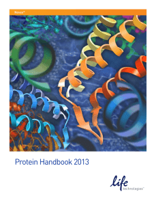 Protein - The Wolfson Centre for Applied Structural Biology