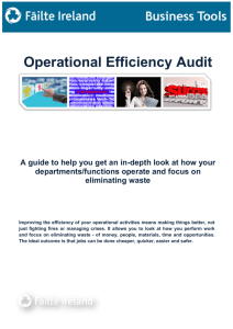 Operational Efficiency Audit