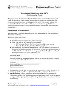 (PEY) Final Internship Report