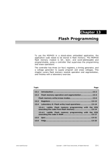 13. Flash Programming