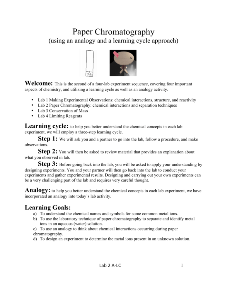 write an essay on paper chromatography