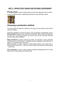 Unit 3 Revision Production, finance and the external environment