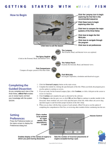eMind Fish Quick Reference Sheet