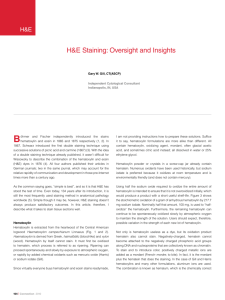 H&E Staining: Oversight and Insights