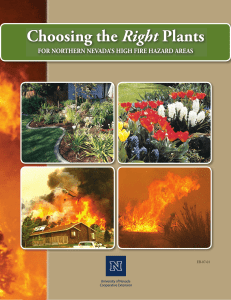 Choosing the Right Plants for Northern Nevada's High Fire Hazard