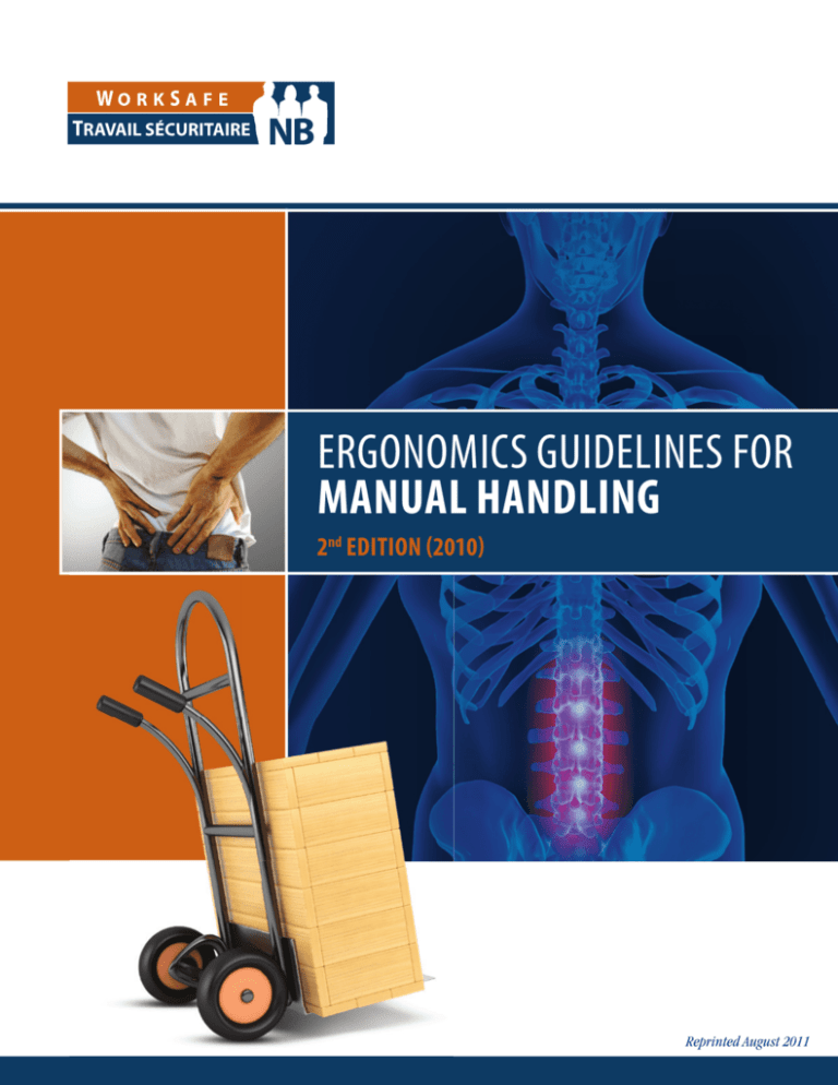 Ergonomic Guidelines for Manual Handling