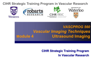 Module 4 - Ultrasound - Robarts Research Institute