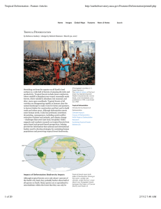 Tropical Deforestation : Feature Articles