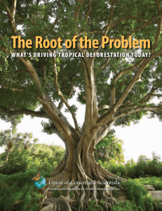 The Root of the Problem - Union of Concerned Scientists