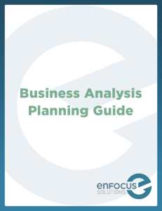 Business Analysis Planning Guide