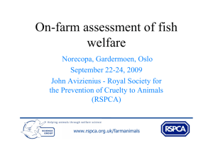 On-farm assessment of fish welfare