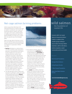 Net-Cage Salmon Farming Problems