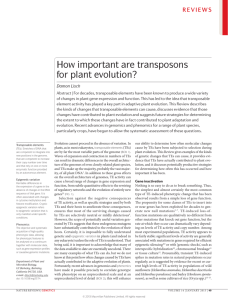 How important are transposons for plant evolution?