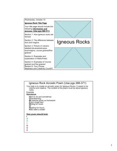 Igneous Rock Day