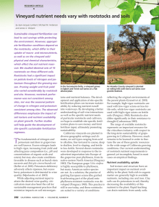Vineyard nutrient needs vary with rootstocks and soils