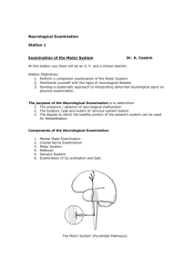 Neurological Examination Station 1 Examination of the Motor