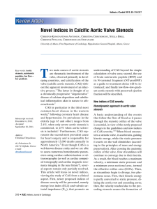Novel Indices in Calcific Aortic Valve Stenosis