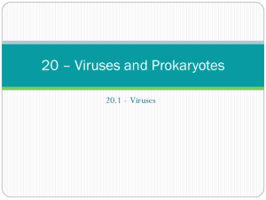 20.1 Virus Notes