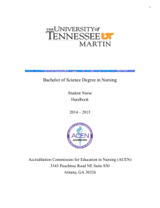 Bachelor of Science Degree in Nursing