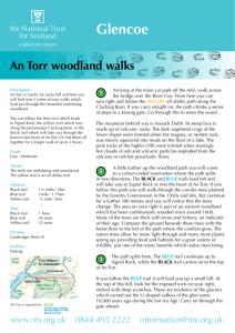 An Torr Woodland Walks