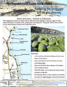 Howick to Cullernose rock walk - Northumberland County Council