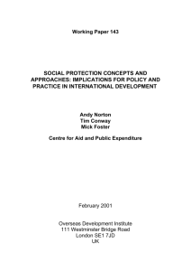 Social Protection Concepts and Approaches