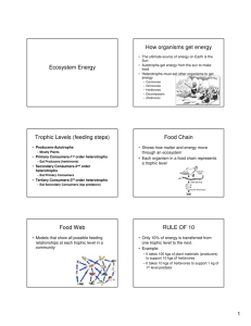 Ecosystem Energy How organisms get energy Trophic Levels