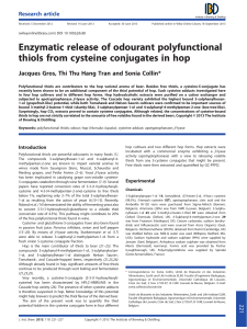 Enzymatic release of odourant polyfunctional thiols from cysteine