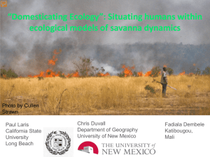 Domesticated Savanna Ecology - California State University, Long