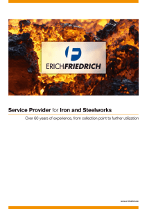 Service Provider for Iron and Steelworks