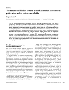 a mechanism for autonomous pattern formation in the animal skin
