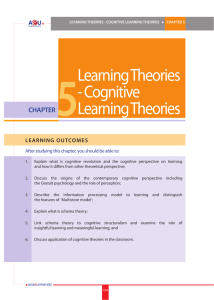 Cognitive Learning Theories