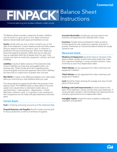 FINPACK Commercial Balance Sheet Instructions