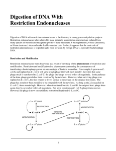 Digestion of DNA With Restriction Endonucleases