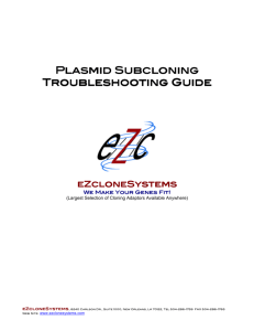 Plasmid Subcloning Troubleshooting Guide