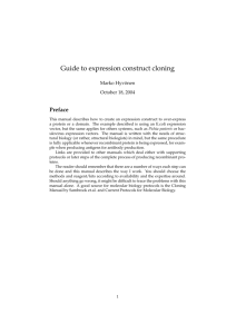 Guide to expression construct cloning