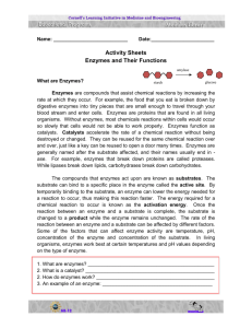 Enzymes and Their Functions - Activity Sheets