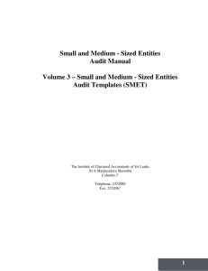Small and Medium - Sized Entities Audit Templates