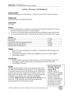 Activity: Drawing a Cell Membrane