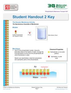 Student Handout 2 Key - 3D Molecular Designs