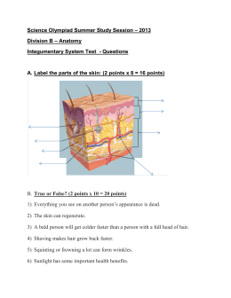 worksheet skin scioly test studylib