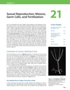 Chapter 21: Sexual Reproduction: Meiosis