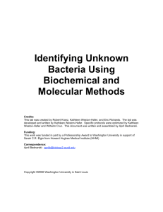 Identifying Unknown Bacteria Using Biochemical and Molecular
