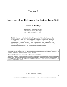 Isolation of an Unknown Bacterium from Soil