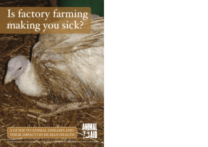 Is factory farming making you sick?