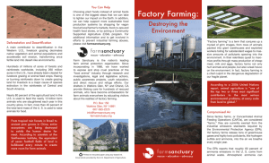 Factory Farming - Farm Sanctuary