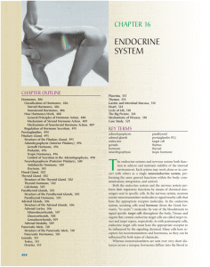 endocrine system - Midland Independent School District