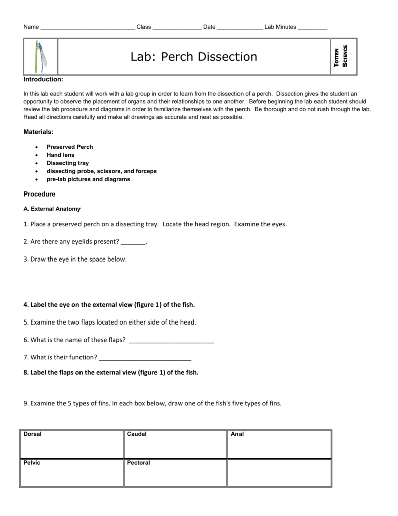 Lab Perch Dissection